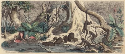 Elvebredden i Guyana (farget gravering) av Heinrich Leutemann