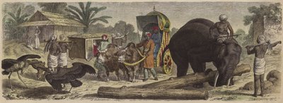 Scene i Bengal, India (farget gravering) av Heinrich Leutemann