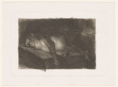Løgnende, sovende ape av Heinrich M. Krabbé