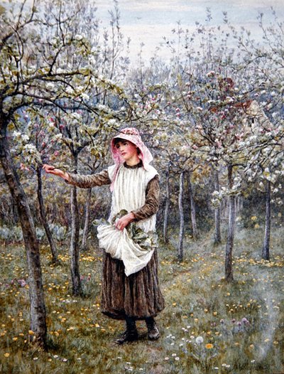 Blossom Time (akvarell på papir) av Helen Allingham