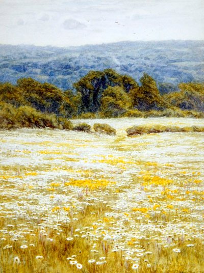 Oxeye Daisies, nær Westerham, Kent (akvarell på papir) av Helen Allingham