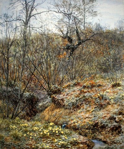 Spring copse, Witley, Surrey (akvarell på papir) av Helen Allingham