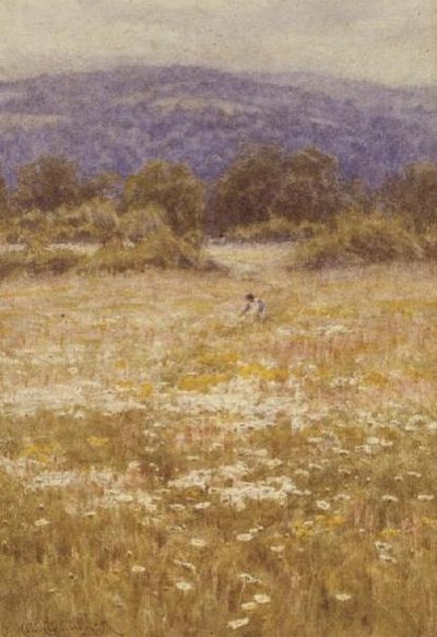 Sommerblomster av Helen Allingham