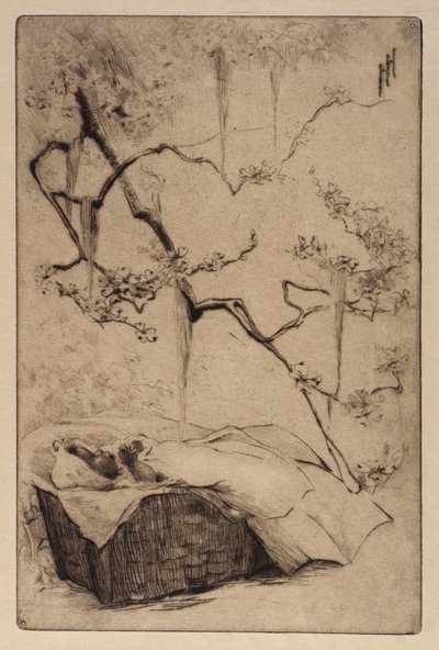  av Helen Hyde