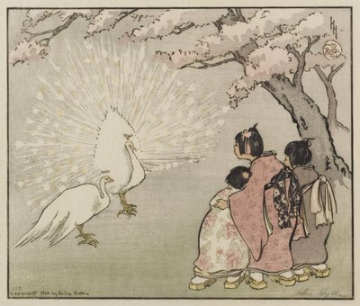White Peacock, 1914 (fargetresnitt) av Helen Hyde