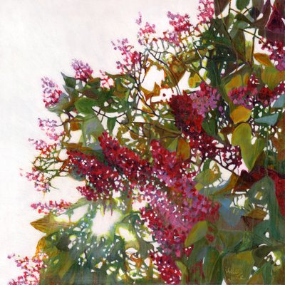 Aglow, 2015 av Helen White