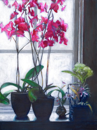 Amsterdam-vinduet, 2021 av Helen White