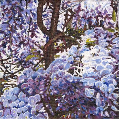Blue Wisteria, 2012 av Helen White