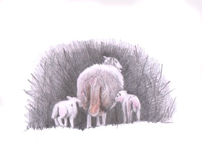 Følg, 2016, (blyanttegning) av Helen White