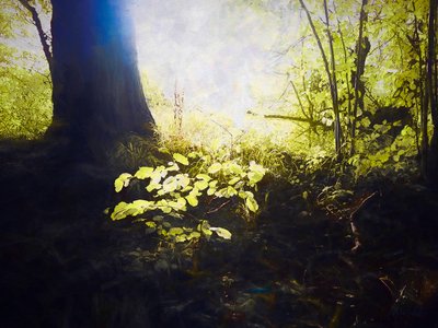 Det hellige sted, 2018 av Helen White