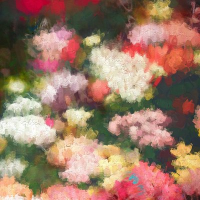 Hjertets hage, 2018 av Helen White