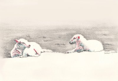 Napping, 2016, (blyanttegning) av Helen White