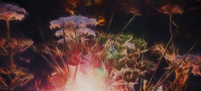 Radiant Hedgerow, 2018, av Helen White