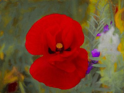 Scarlet, 2019 av Helen White
