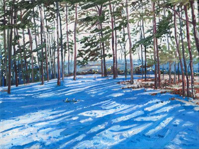 Snowy Ridge, 2009 av Helen White