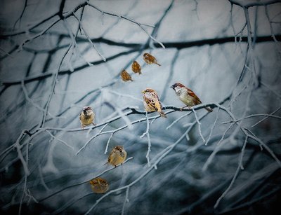 Myldrer av liv, 2019 av Helen White