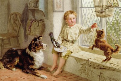 Venner av Helena J. Maguire