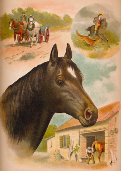 Hesten, c1900 av Helena J. Maguire