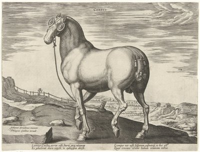 Hest fra Korsika Corsvs (tittel på objekt) Hesteraser fra Royal Stables of Don Juan of Austria (serietittel) Equile Ioannis Austriaci Caroli (serietittel) av Hendrick Goltzius (possibly)
