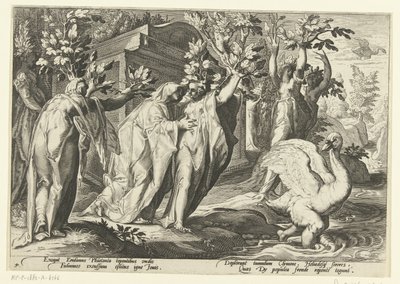 Phaëthons søstre blir til poppel og vennen til en svane Ovids metamorfoser (serietittel) av Hendrick Goltzius (workshop of)