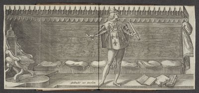 Herald Opprinnelse og kort historie til grevene av Hollandt Zeelandt og de Vrieslandt (serietittel) Grever og grevinner av Holland (serietittel) av Hendrick Goltzius