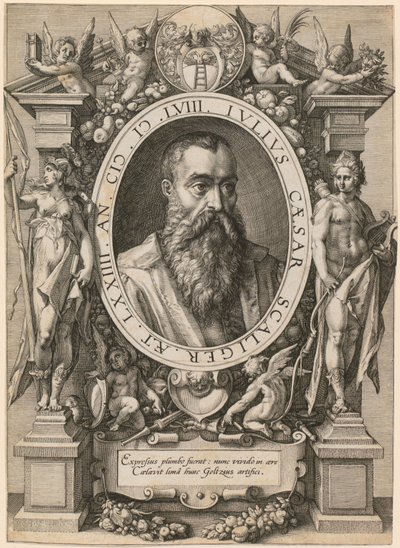 Portrett av Julius Caesar Scaliger av Hendrick Goltzius