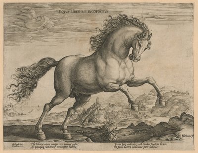 villhest Eqvvs liber et incompǒsitvs (tittel på objekt) Hesteraser fra den kongelige stallen til Don Juan av Østerrike (serietittel) av Hendrick Goltzius