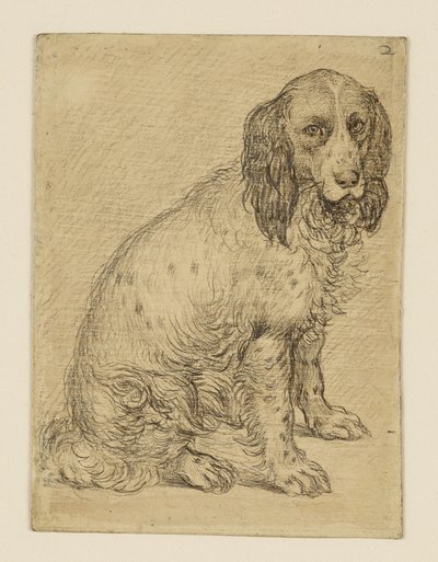  av Hendrick Goltzius
