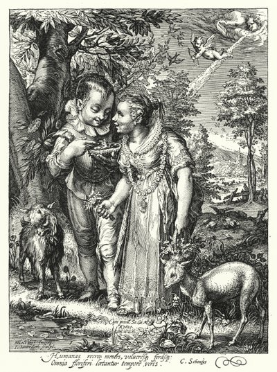 Fjær (gravering) av Hendrik (after) Goltzius