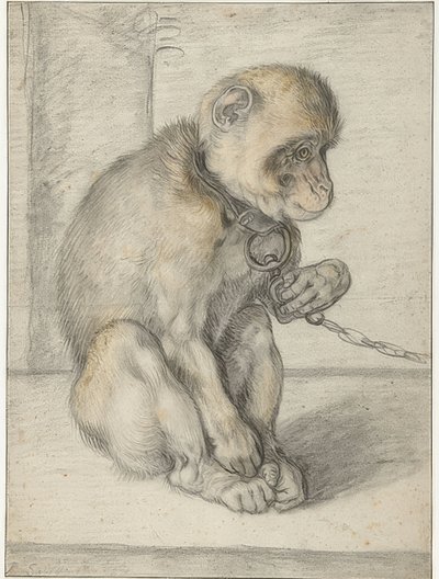 En sittende ape på en lenke. 1592-1602 av Hendrik Goltzius