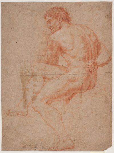 Mannlig modellstudie av Hendrik Krock