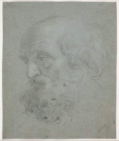 Skjegget manns hode (apostelen Peter) av Hendrik Krock