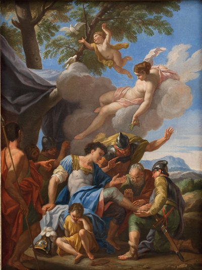 Venus bringer enkle ting for den sårede Aeneas av Hendrik Krock