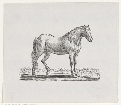 Hest av Hendrik Numan