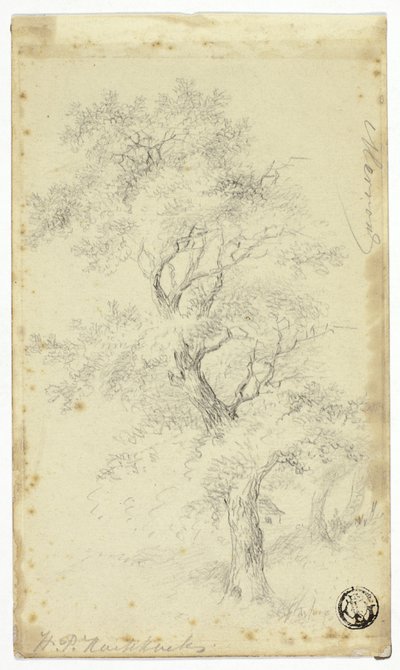 Merron av Hendrik Pieter Koekkoek