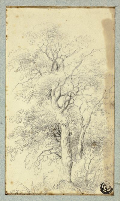 Tre av Hendrik Pieter Koekkoek