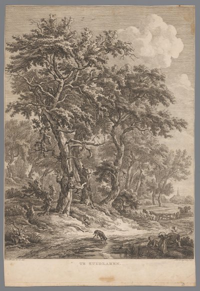Landskap ved Zuidlaren I Zuidlaren (tittel på objekt) Ni ansikter i Drenthe (serietittel) IX Ansikter i og nær Drenthes landskap (serietittel) av Hendrik Schwegman