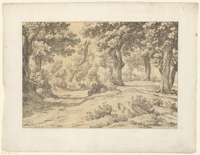 skogutsikt Tentamina Lithographica (serietittel) Italienske landskap (serietittel) av Hendrik Voogd