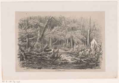 Trær som ble blåst ned på Jacobalaan, etter stormen 28. mai 1860 Jacobalaan (tittel på objekt) Album med ti litografiske skisser, som viser Tooneelen of the Destruction, agitated by stormen 28. mai 1860 i 