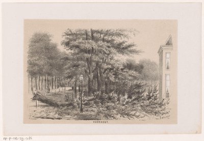 Tre blåst ned nær Voorhout, etter stormen 28. mai 1860 Voorhout (tittel på objekt) Album med ti litografiske skisser, som viser Tooneelen of the Destruction, agitert av stormen 28. mai 1860 i 