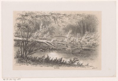 Tre blåst, etter stormen 28. mai 1860 Dam (tittel på objekt) Album med ti litografiske skisser, som viser Tooneelen of the Destruction, agitert av stormen 28. mai 1860 i 