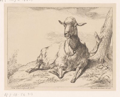 Liggende geit Diverse dyr (serietittel) av Hendrik Willem Schweickhardt