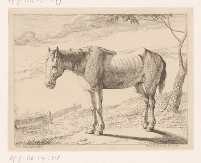 Hest Diverse dyr (serietittel) av Hendrik Willem Schweickhardt