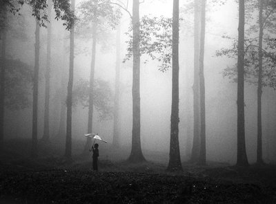  av Hengki Lee