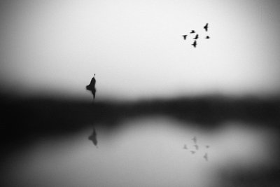  av Hengki Lee