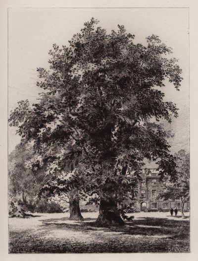 Cambridge: The Garden of Christ's College (etsing) av Henri (after) Toussaint