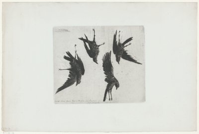 Fire døde kråker henger på en vegg av Henri Charles Guérard (signed by artist)