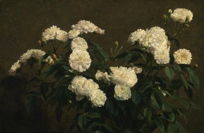 Stilleben av hvite roser av Henri Fantin-Latour