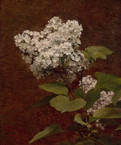 Hvite syriner av Ignace Henri Jean Fantin Latour