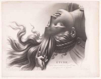 Hodet til en ung kvinne som blir trukket av håret Étude dessinée d'après le tableau d'une Scène de Déluge peint par AL Girodet (tittel på objekt) av Henri Guillaume Chatillon